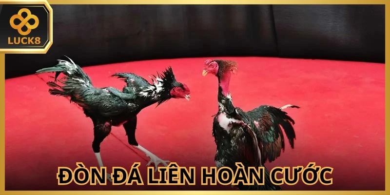 don-da-lien-hoan-cuoc