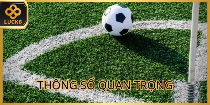 thong-so-quan-trong-khi-thuc-hien-soi-keo-cuoc